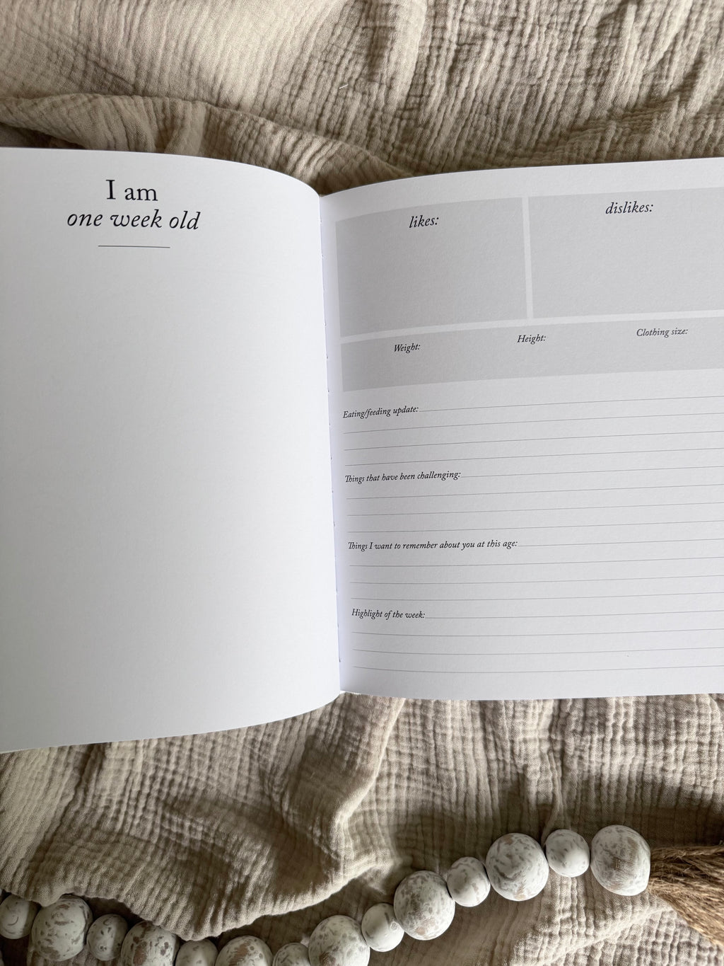 1st Year Book